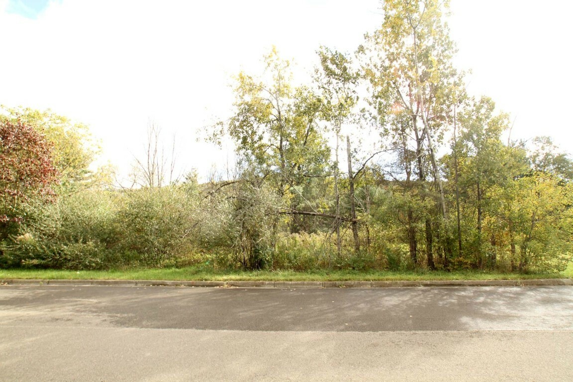 Property Photo:  1229 Lot#9 Domenica Drive  NY 13760 