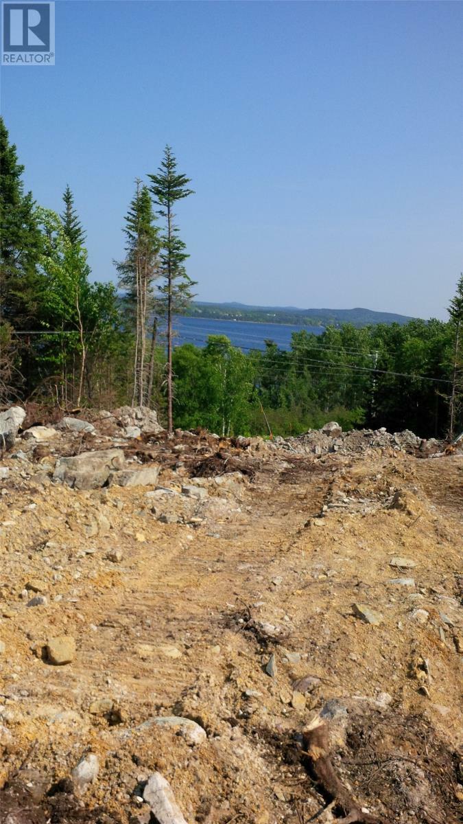 Property Photo:  326-329 Main Street North  NL A0G 2L0 