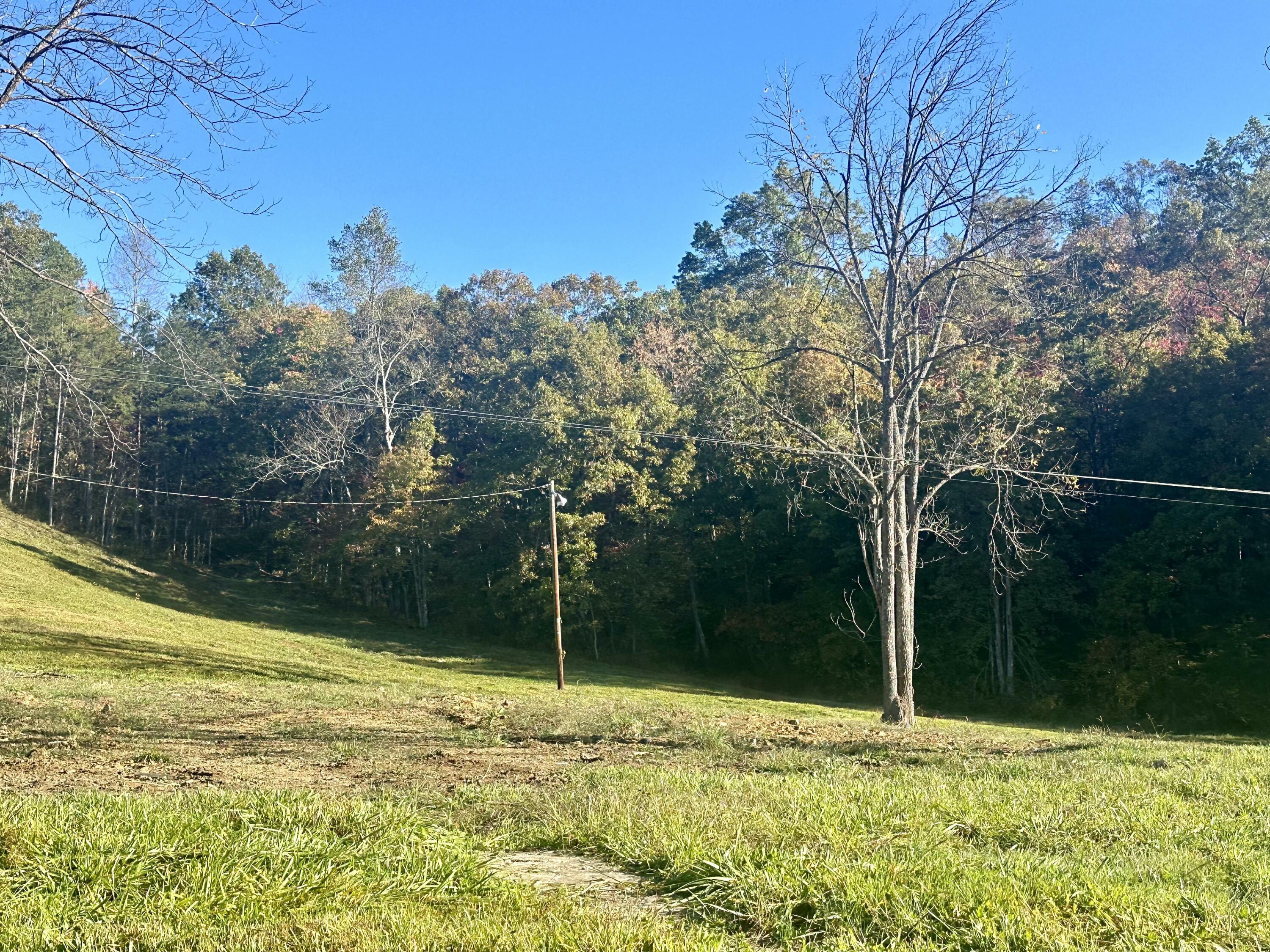 Property Photo:  424 West 577 Highway Tract 1  KY 40962 