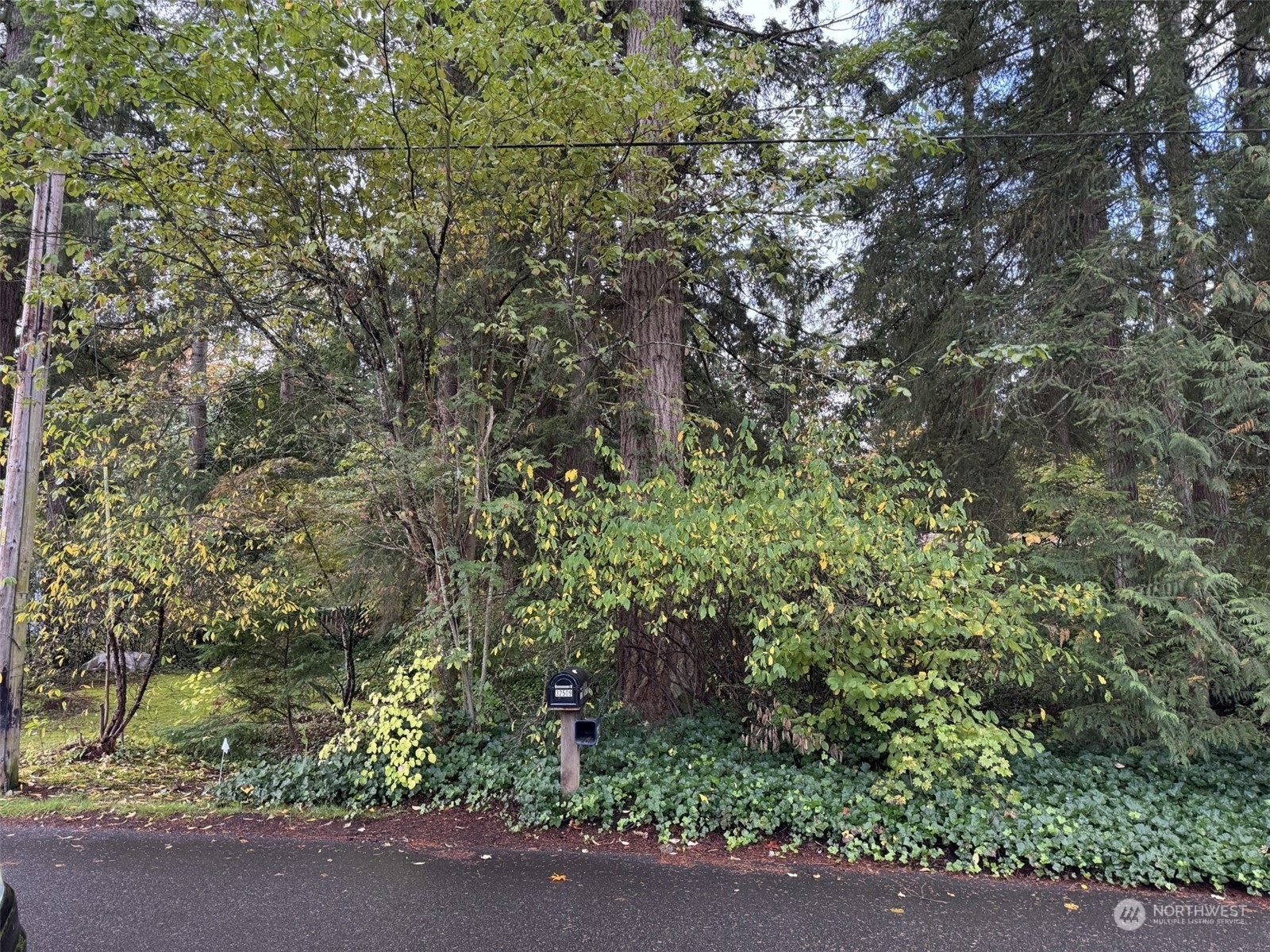 Property Photo:  32509 SE 44th Street  WA 98024 