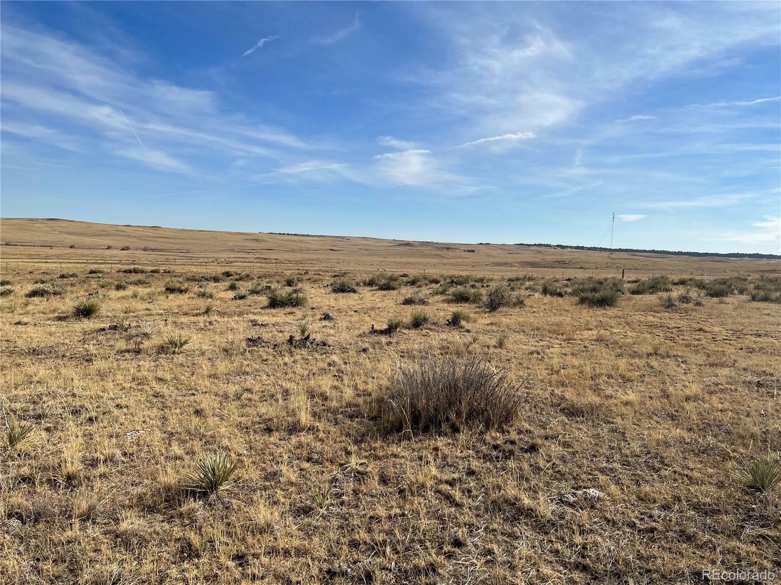 Property Photo:  County Road 77  CO 80808 