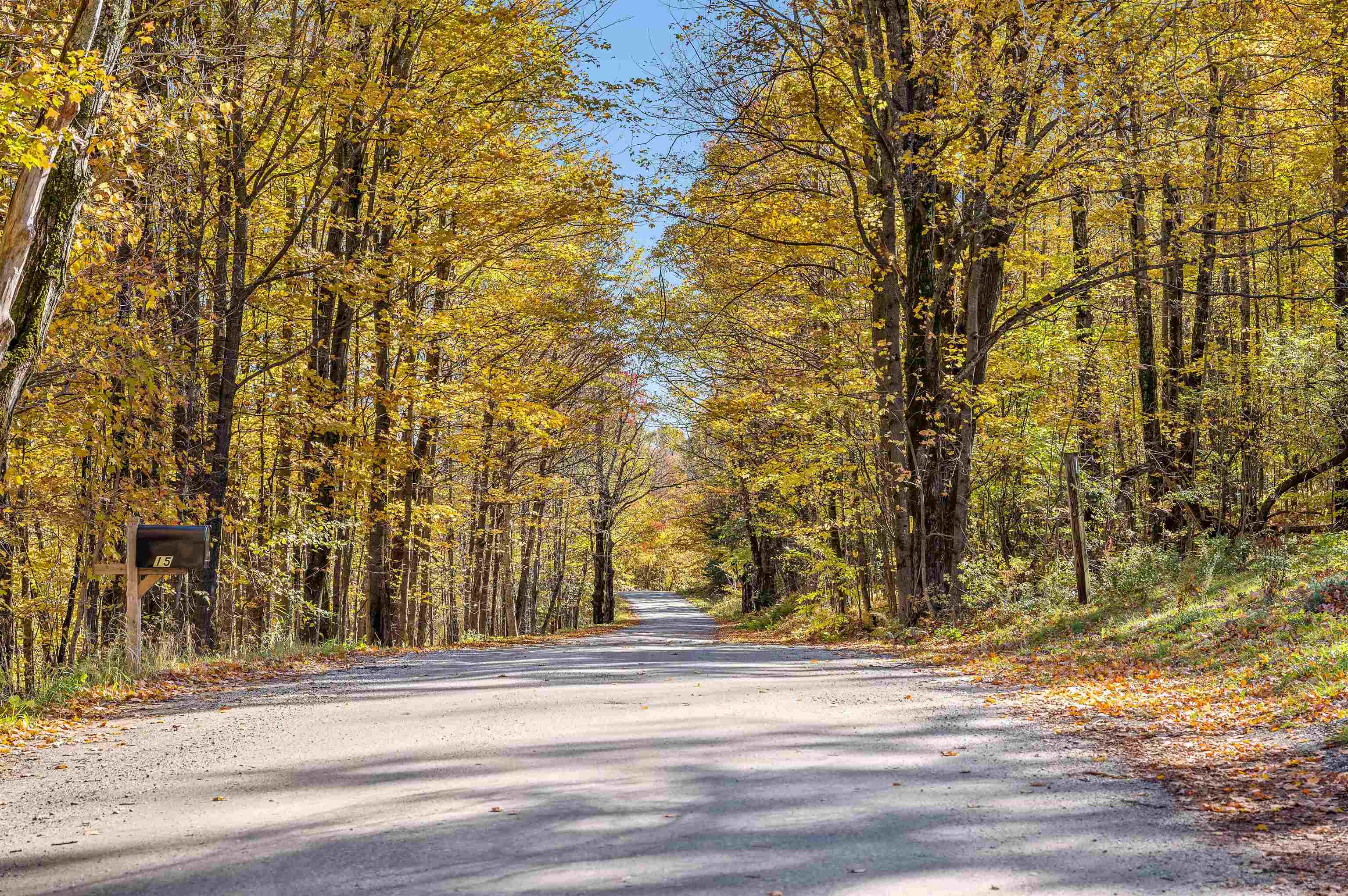 Property Photo: 15 Bull Moose Road VT 05661