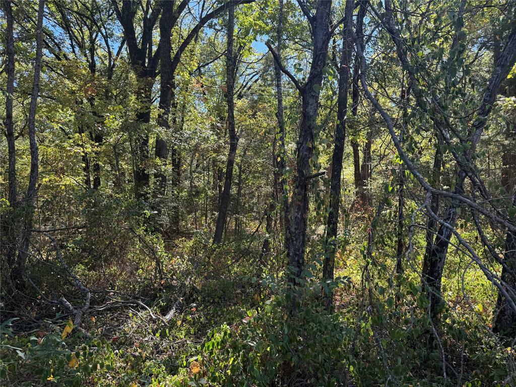 Property Photo:  Lot 401 Cordoba Street  TX 75156 