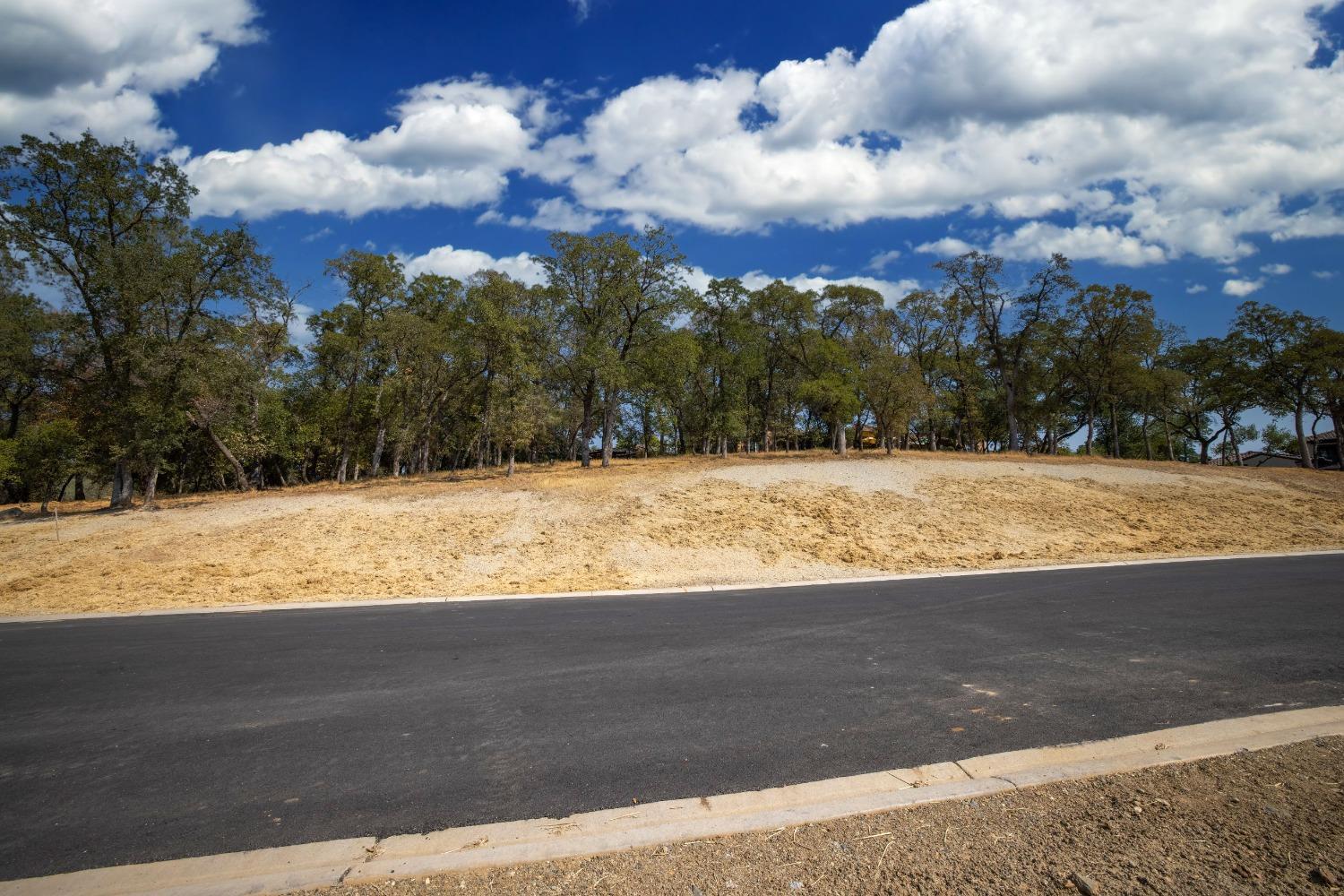 Property Photo: 4090 Raphael Drive CA 95762