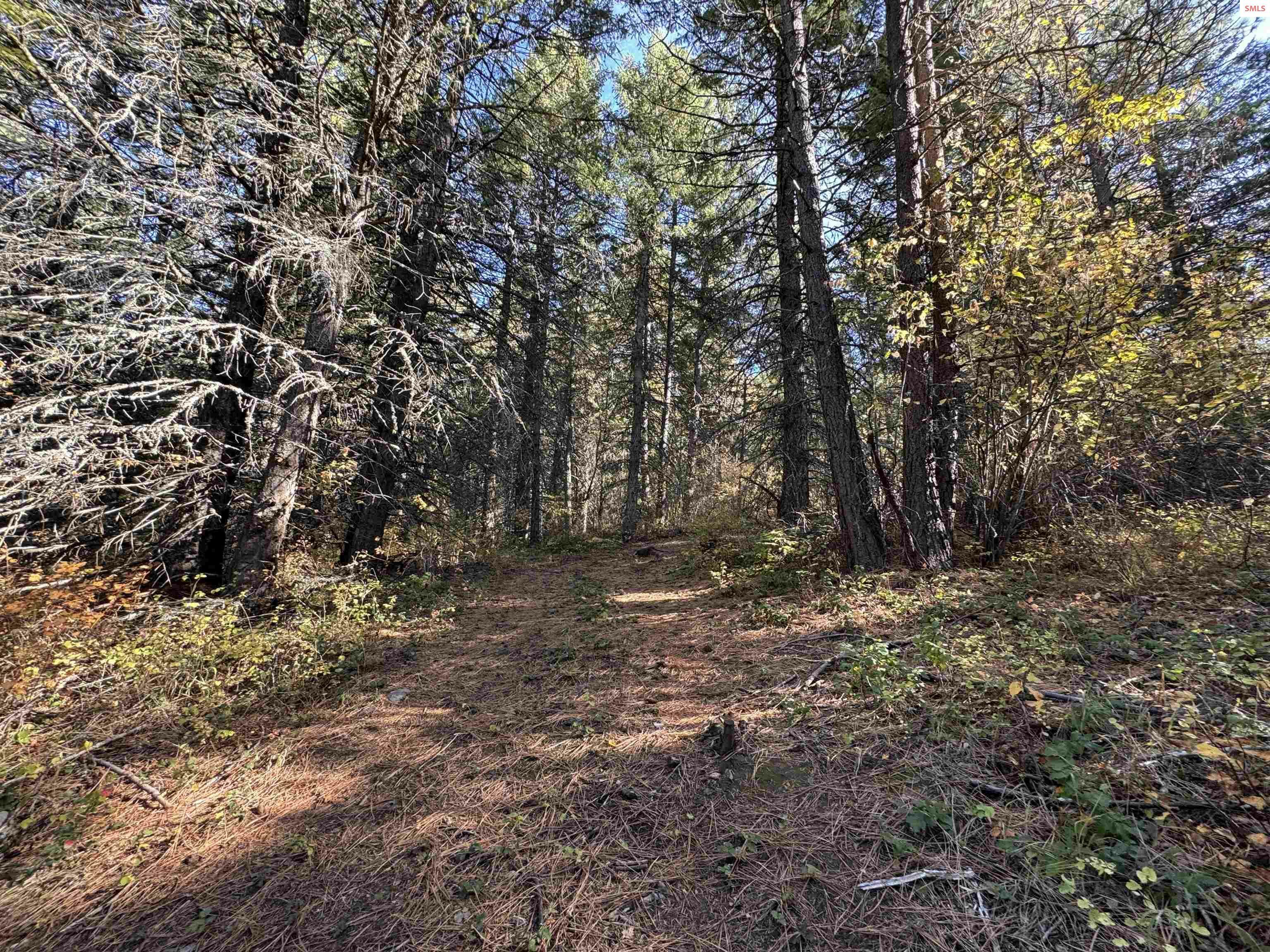 Property Photo:  Nna Rocky Rd  ID 83860 