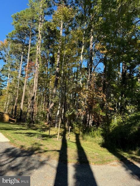 Property Photo:  Lot 8 Ackerman Drive  MD 21666 