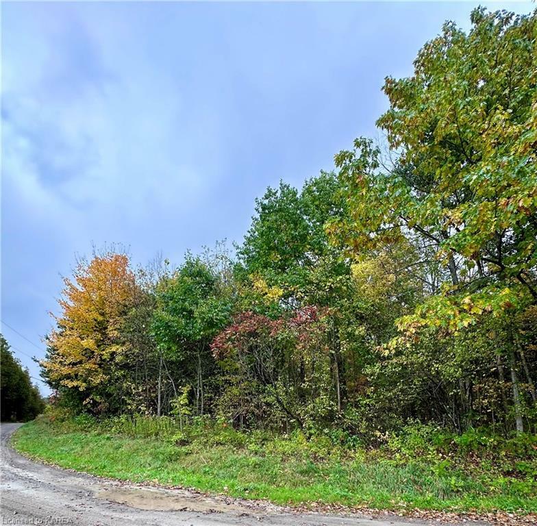 Property Photo:  Lot 1 Murphy Road  ON K0K 3G0 