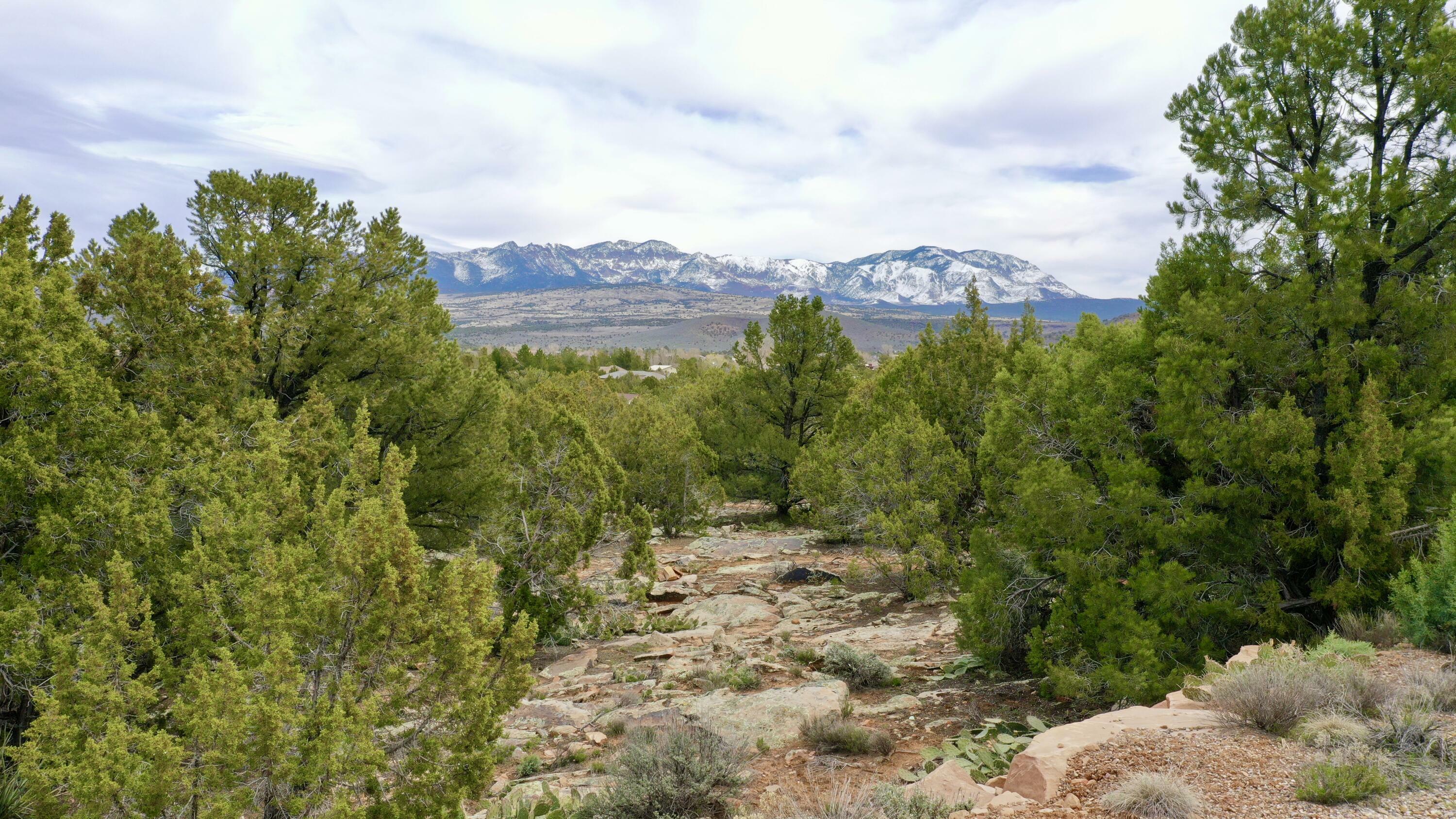 Property Photo:  High Camp Valley Cir  UT 84783 