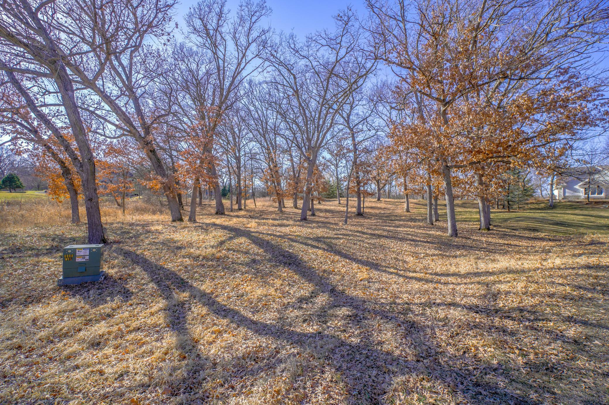 Property Photo:  1 Catbird Lane  MN 55127 