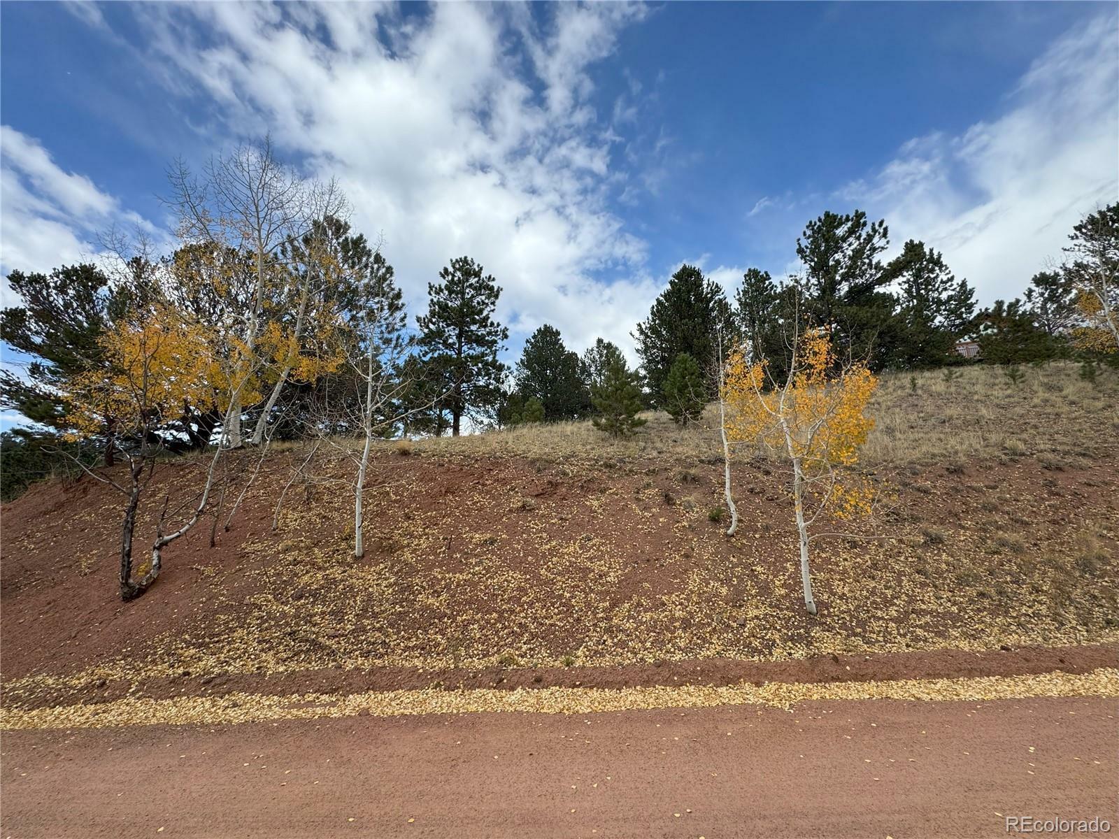 Property Photo:  Pikes Peak Drive  CO 80814 