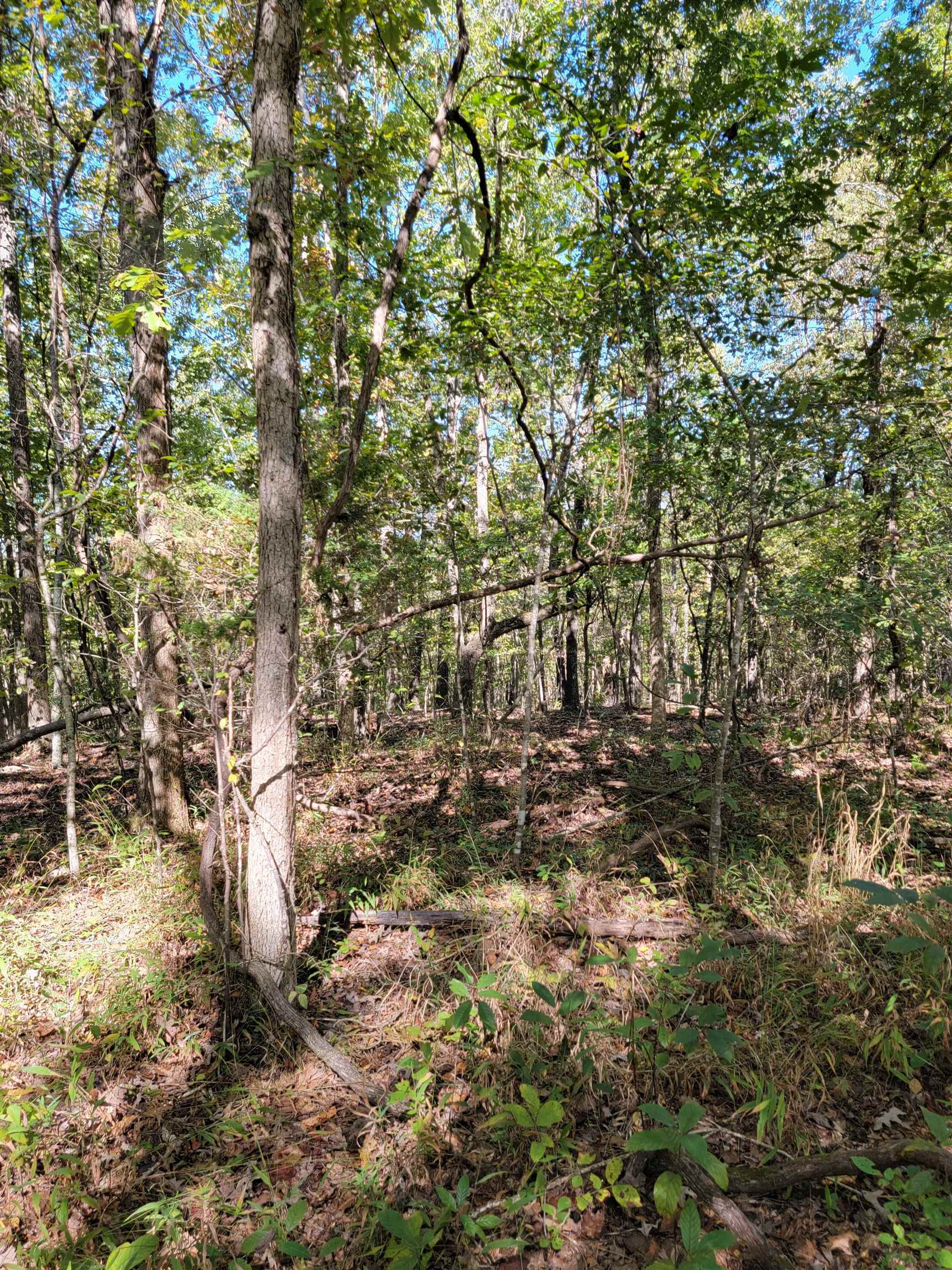 Property Photo:  L2b3 Tomahawk Drive  AR 72529 