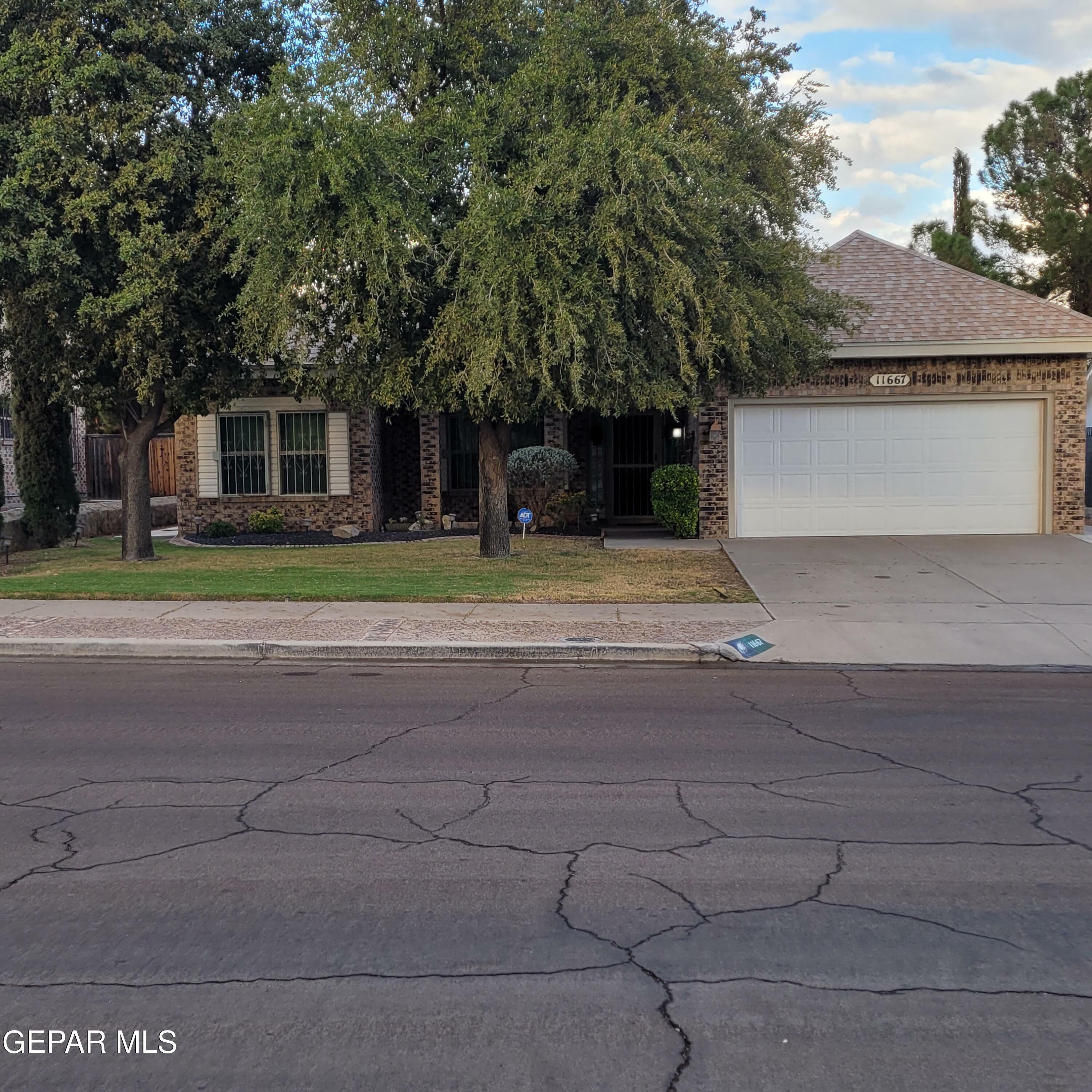 Property Photo:  11667 Rufus Brijalba Drive  TX 79936 