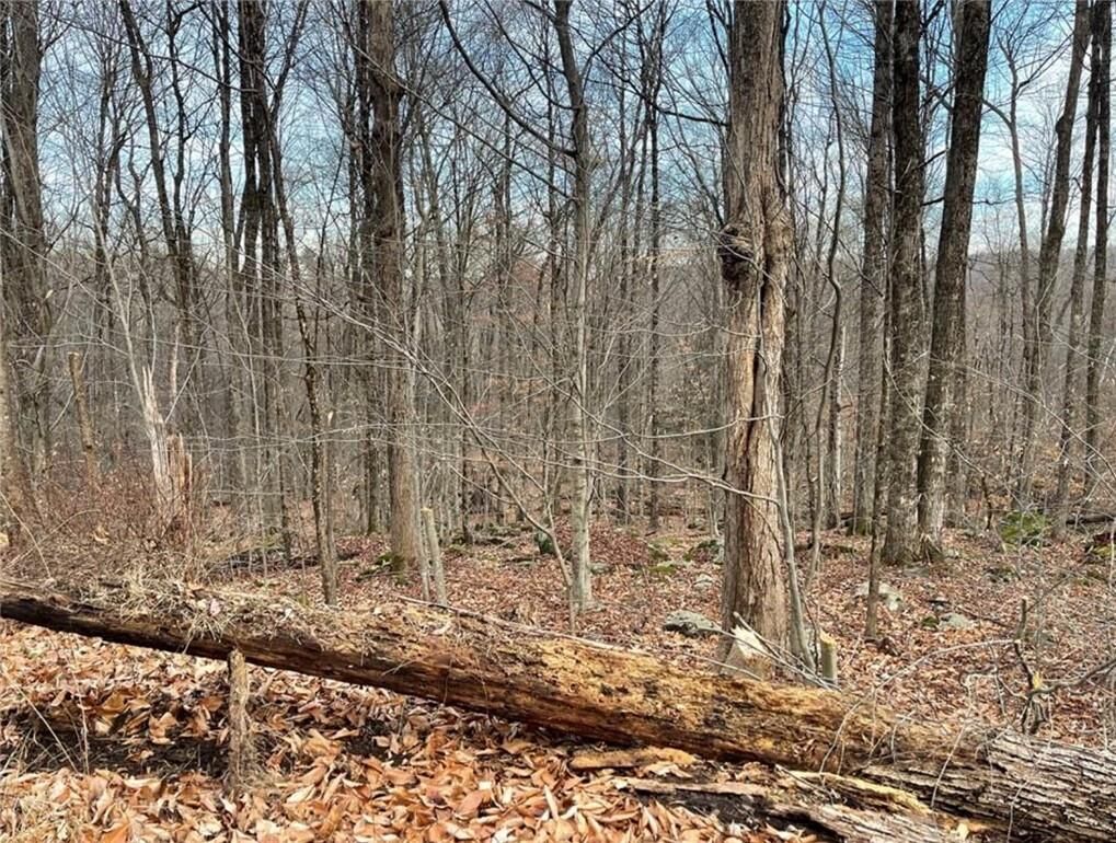 Property Photo:  Starlight Road  NY 12701