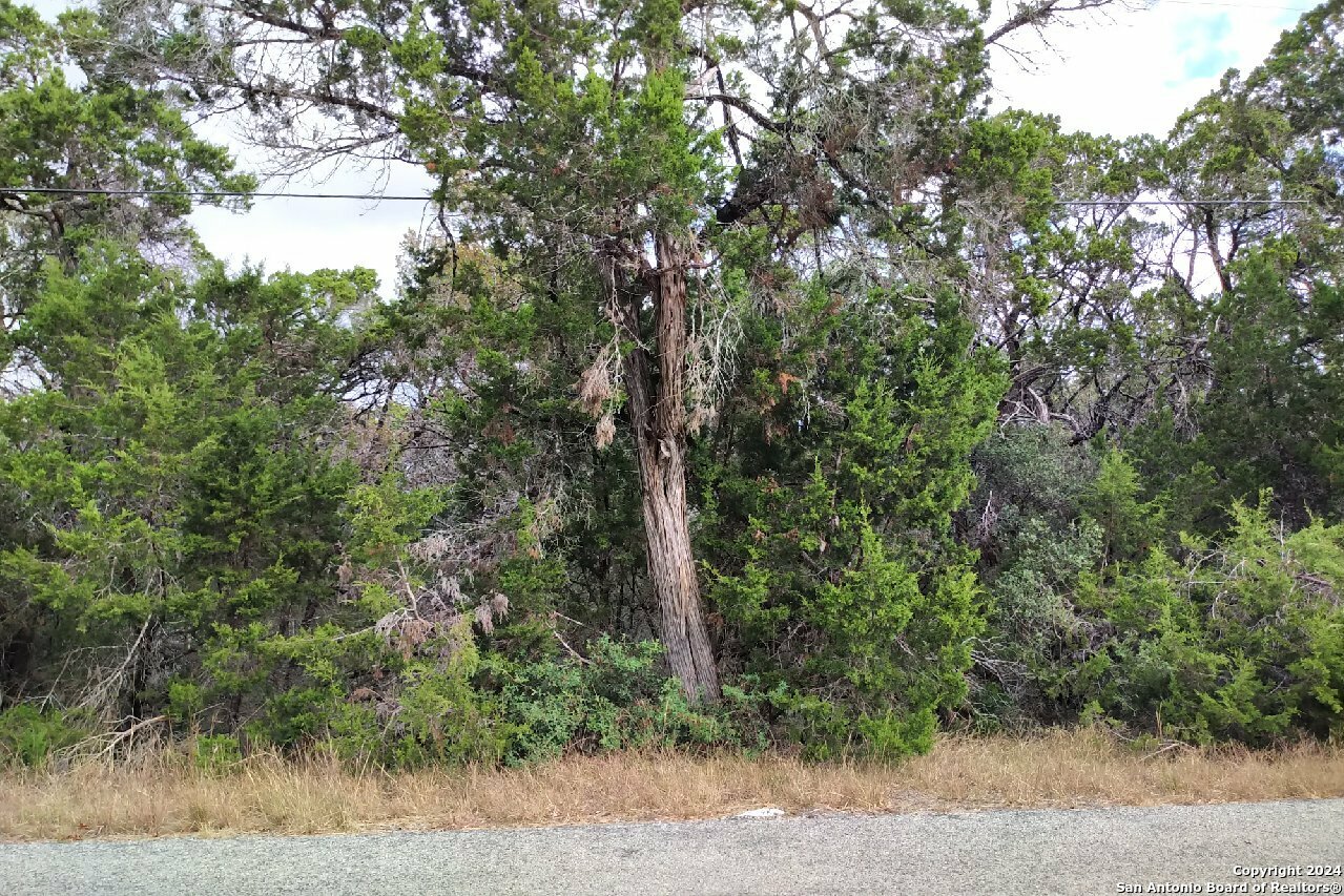 Property Photo:  333 Eagle Rock Rd  TX 78070 