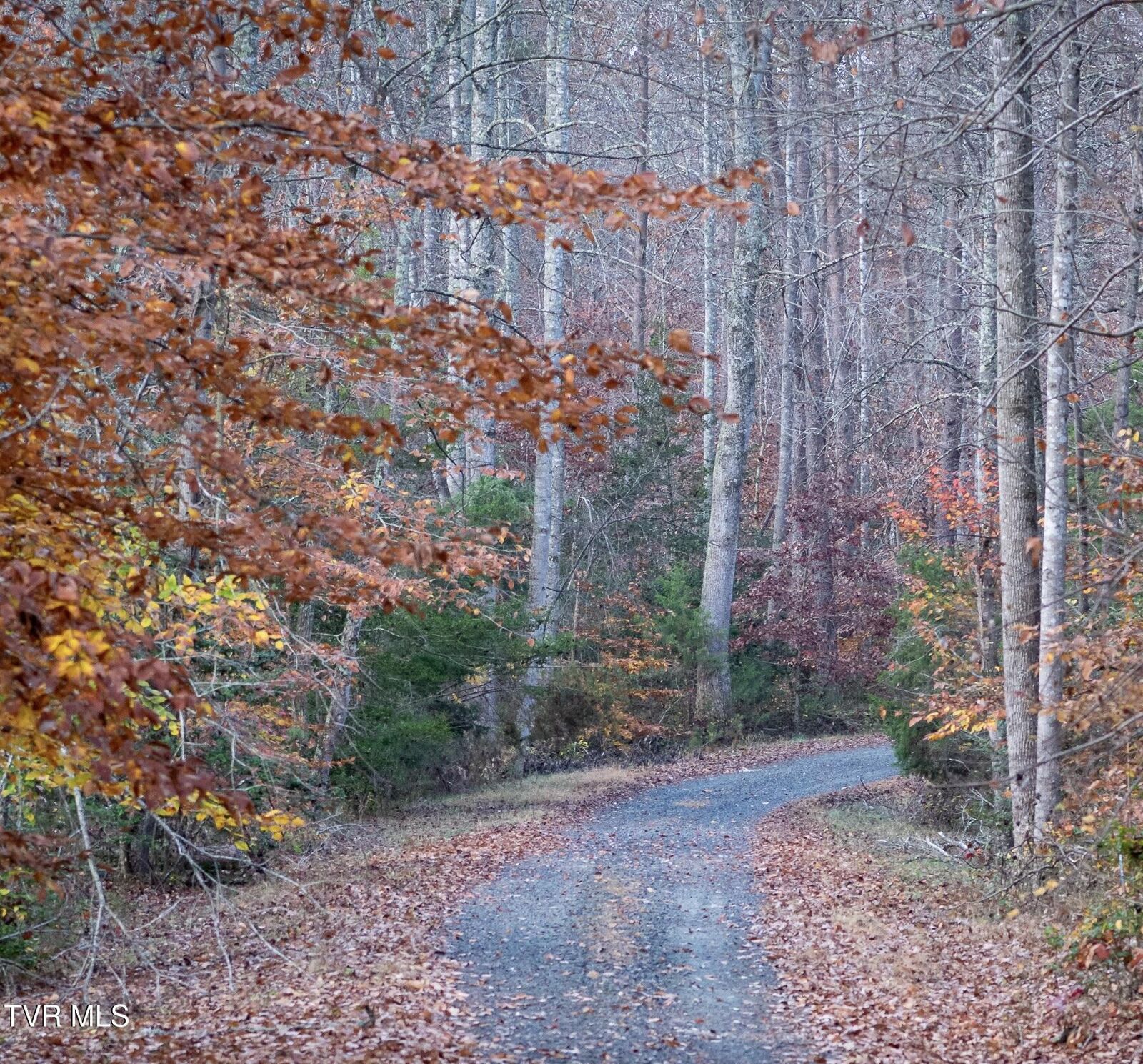 Property Photo: Tbd Fire Station Road TN 37643
