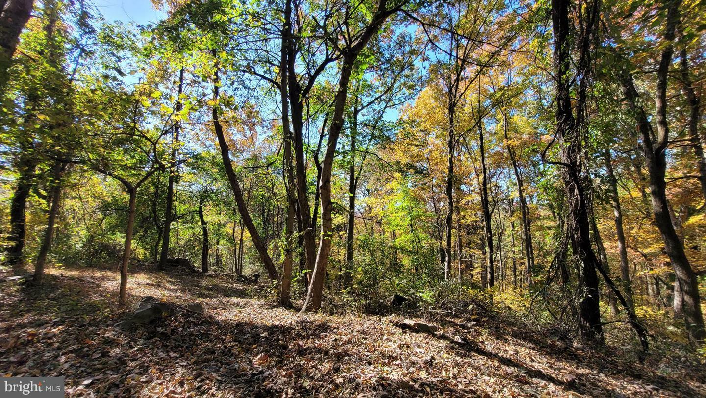 Property Photo:  Parcel 43 Sunshine Trail  MD 21780 