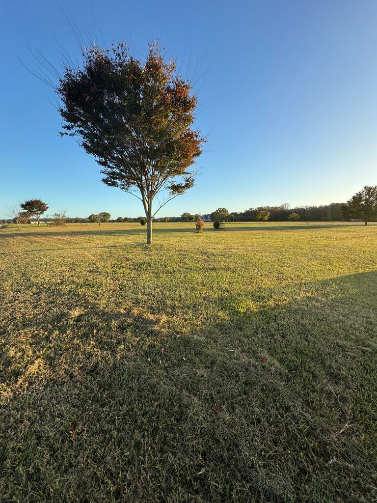 Property Photo:  Lot 44 Blue Crab Circle  VA 23420 