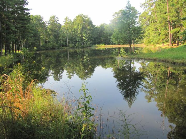 Property Photo:  7715 Lynch Road  GA 31820 