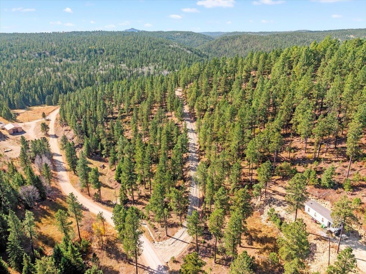 M.s. 1749 Hidden Treasure Lane  Deadwood SD 57732 photo