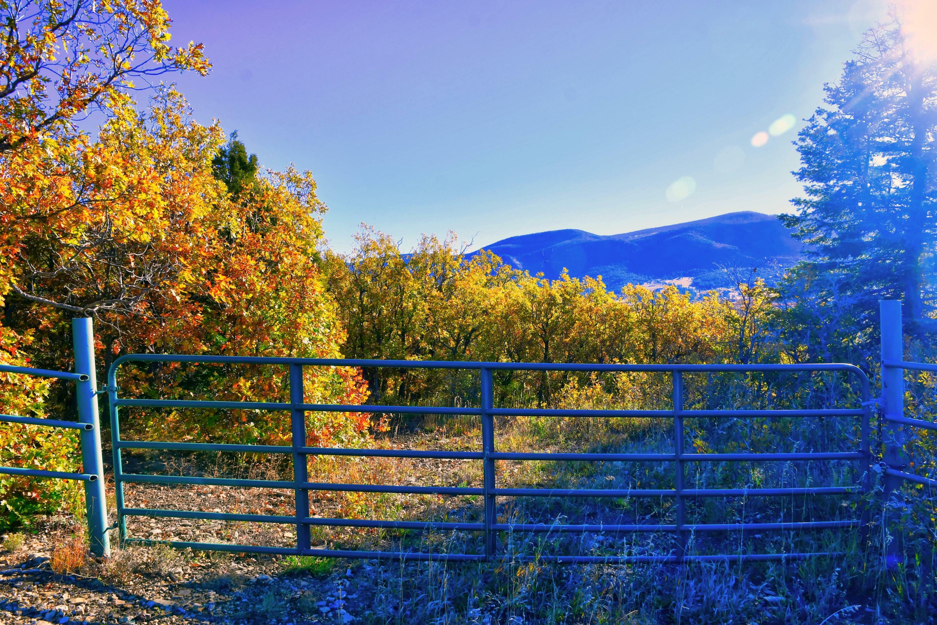 Chacon Creek B008  Mora NM 87732 photo