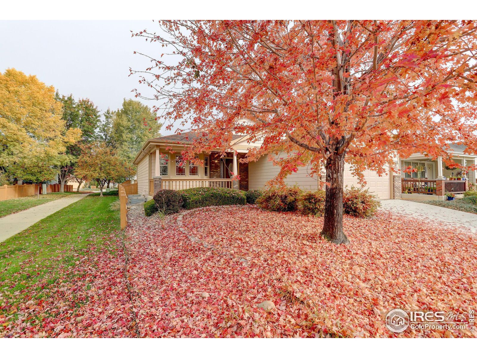 Property Photo: 2293 Paonia St CO 80538