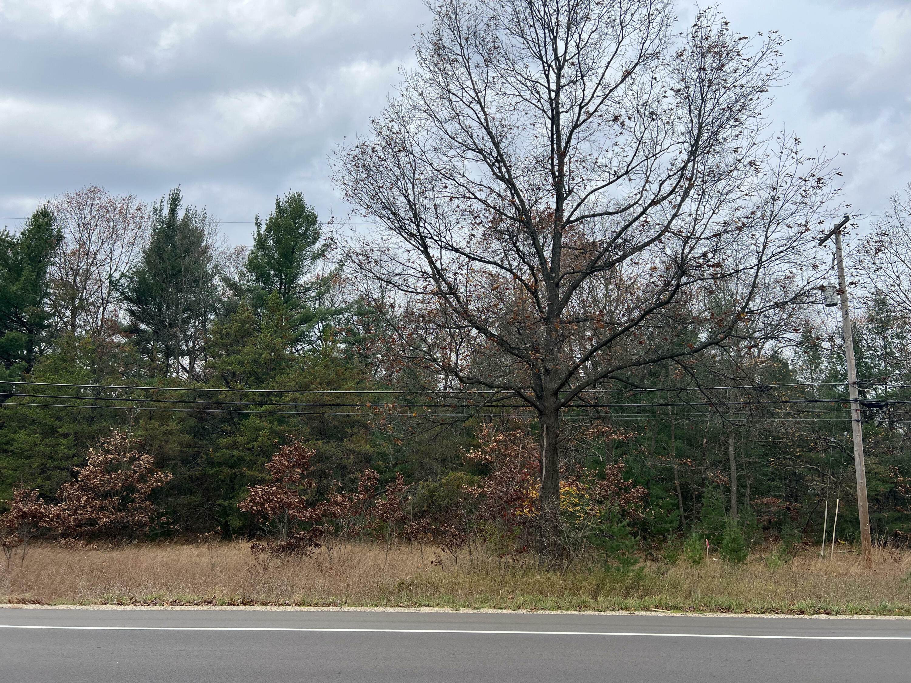 Property Photo:  Vl Whitehall Road  MI 49461 