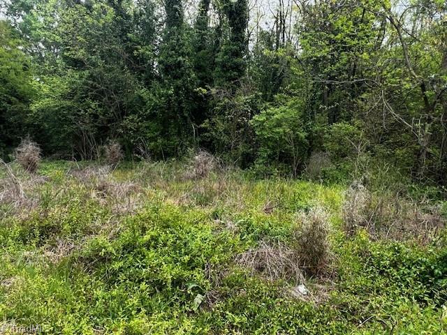 Lot 1 S 12th Avenue  Mayodan NC 27027 photo