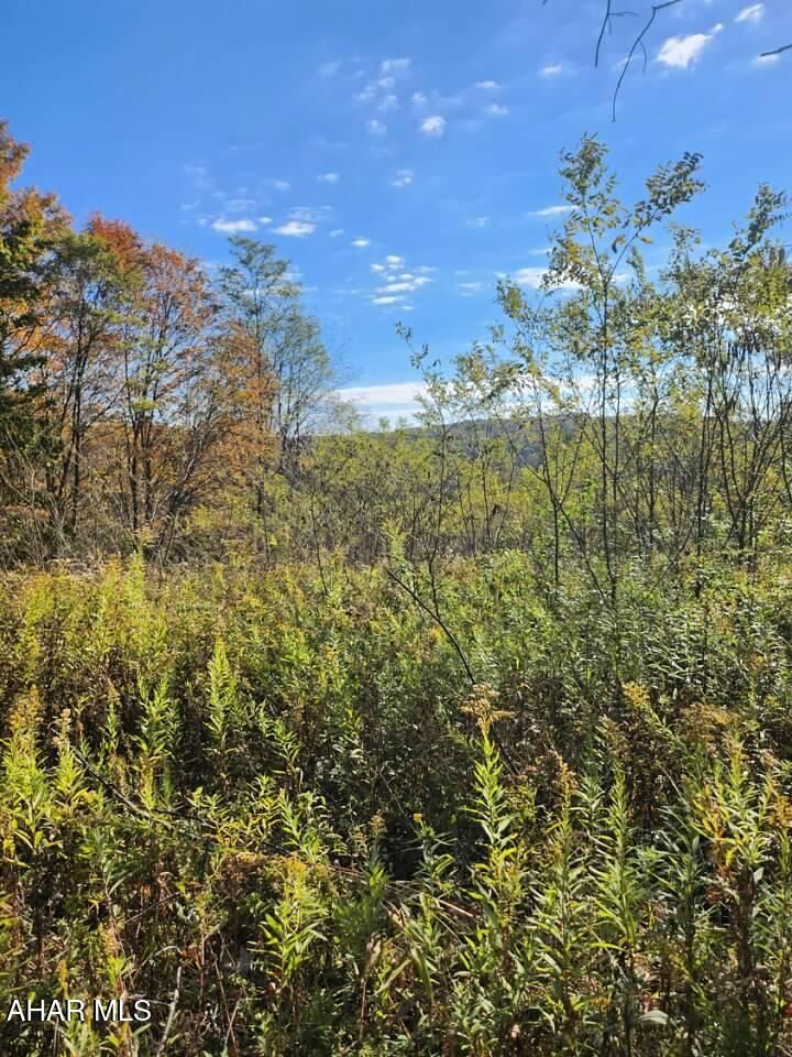 Property Photo: Lots D2-D5 Natures Symphony Road PA 16655