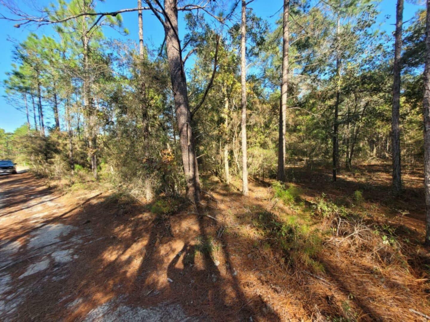 Lot 10 Blk 20 English Holly Lane  Defuniak Springs FL 32433 photo