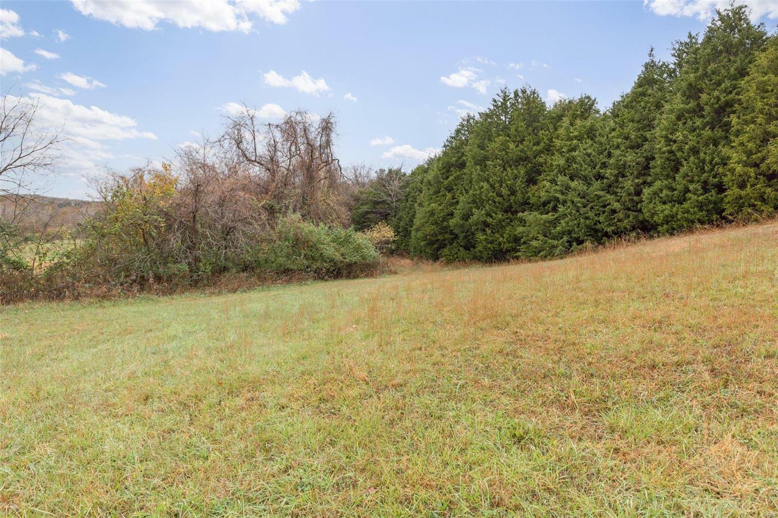 Property Photo:  2826 Plattin Road  MO 63028 