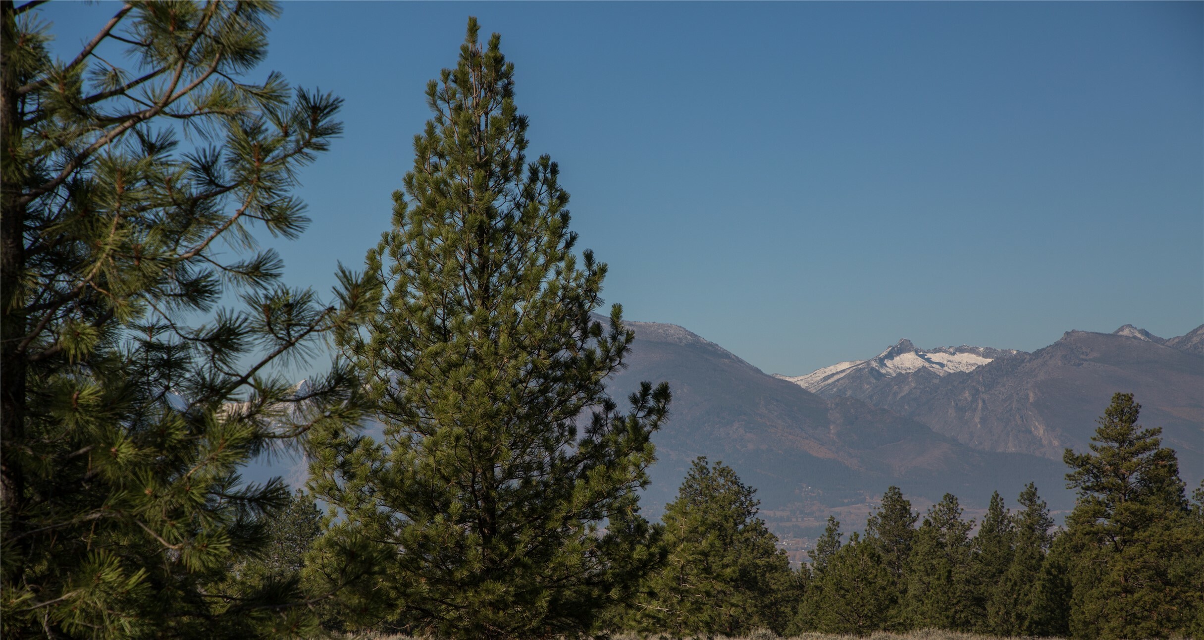 Property Photo:  Nhns Lord Byron Trail  MT 59840 