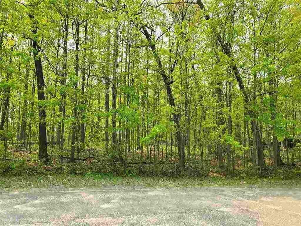 Property Photo:  Xxx Home Acres Drive Lot #13  MI 48629 