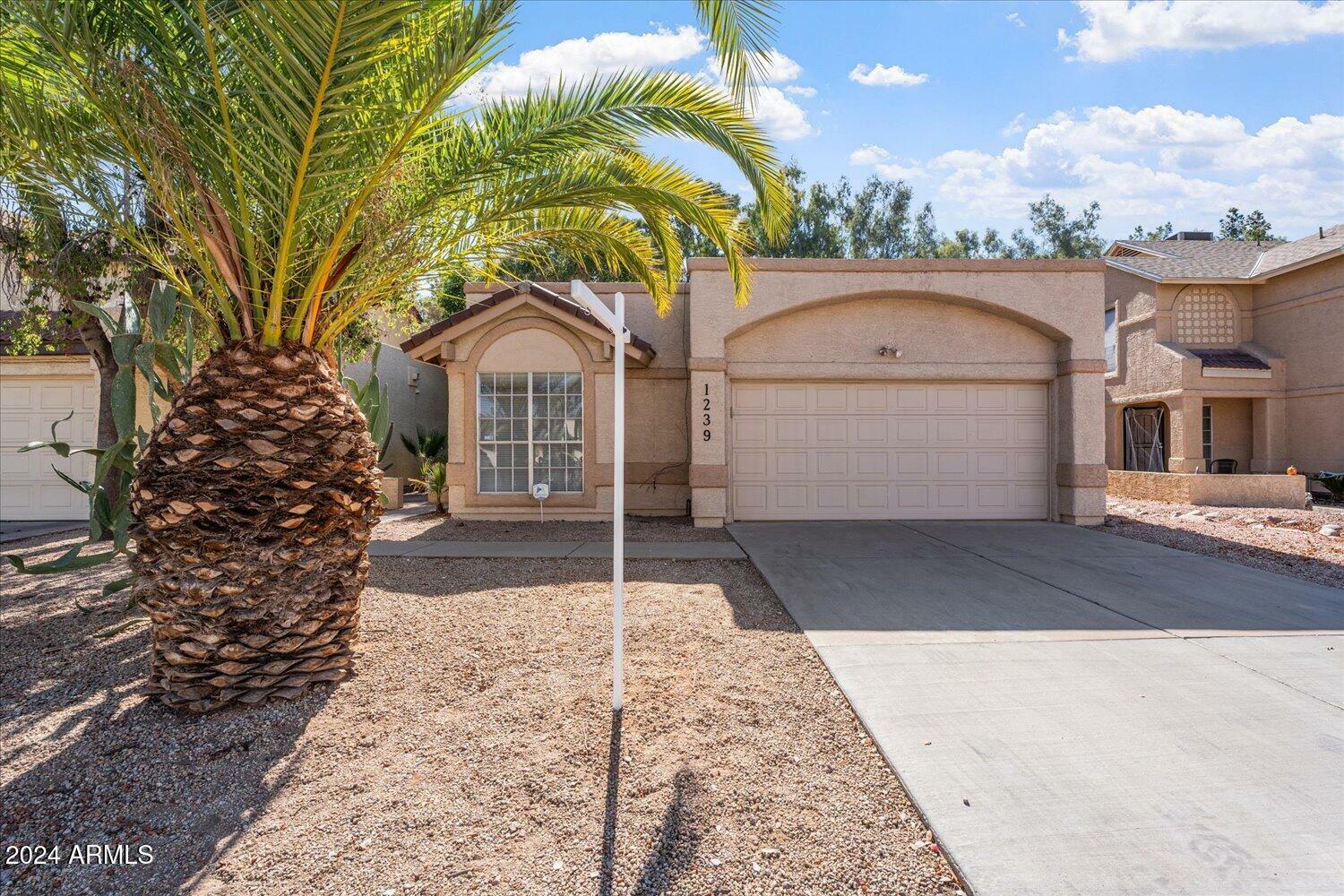 Property Photo: 1239 W Manor Street AZ 85224