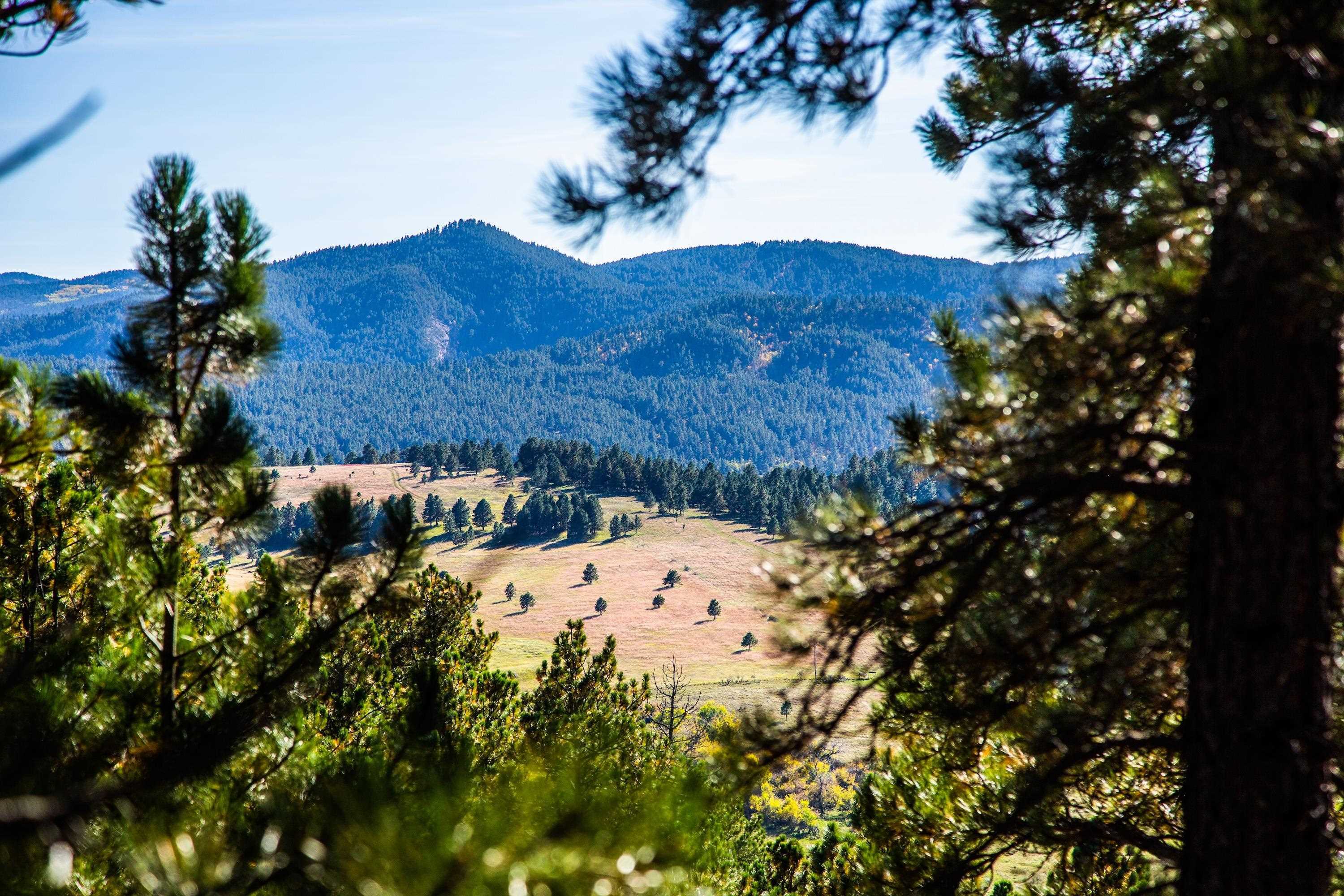 Lot 25 Three Peaks Pass  Whitewood SD 57793 photo