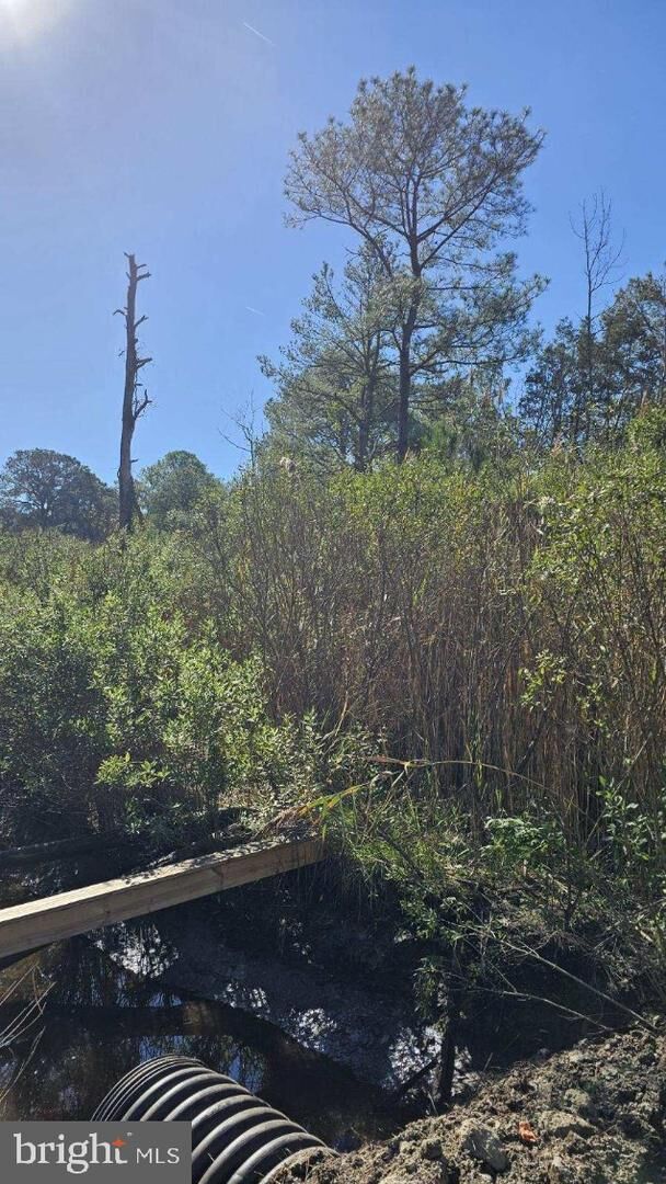 Property Photo:  0 Asbury Avenue  MD 21817 