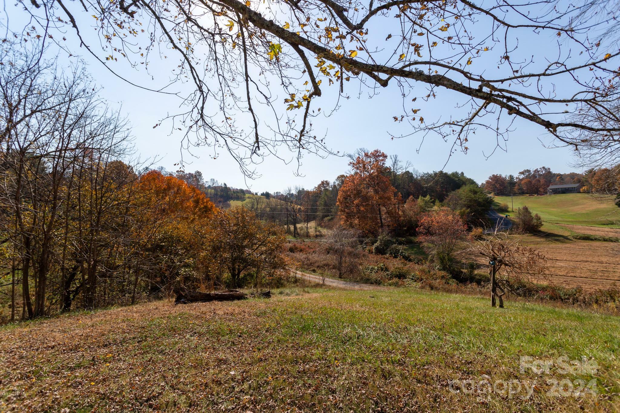 Property Photo:  124 Palmer Ford Road  NC 28787 