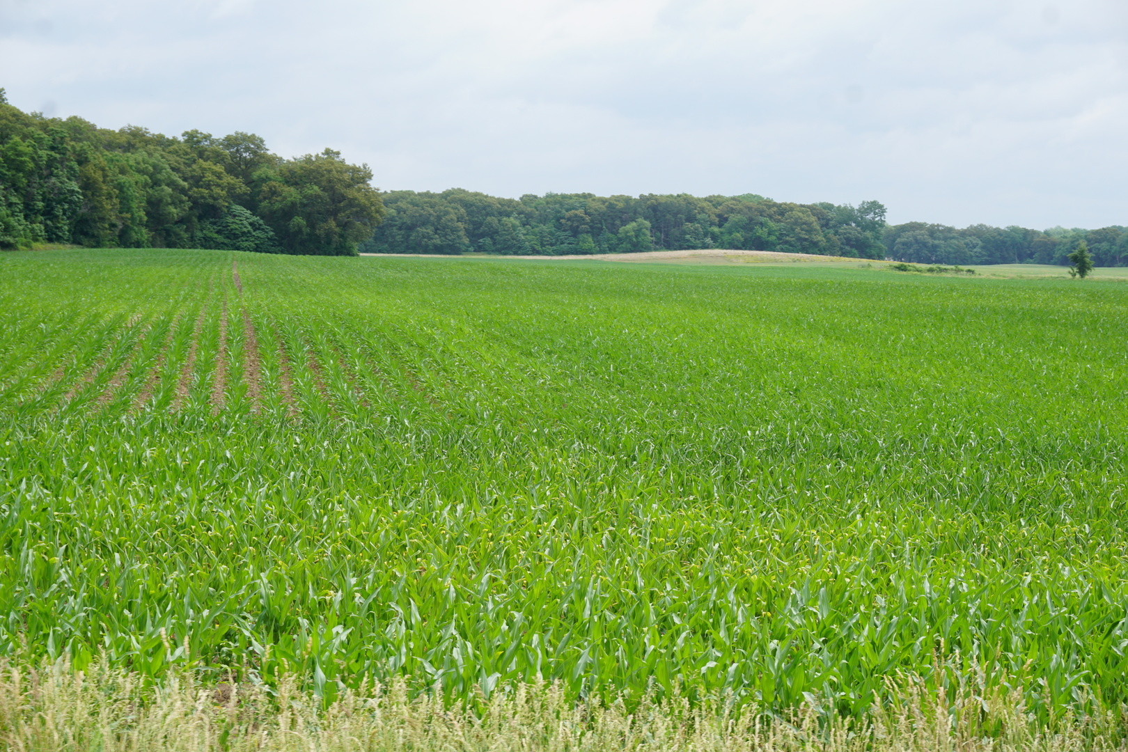 Property Photo:  1500 N 7000 W Road  IL 60901 