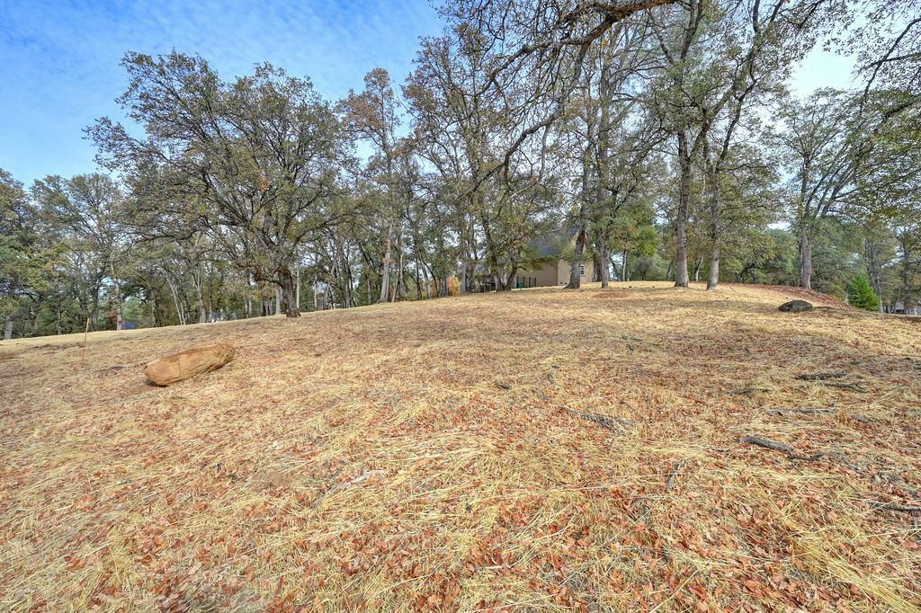 Property Photo:  13011 Austin Forest Circle  CA 95602 