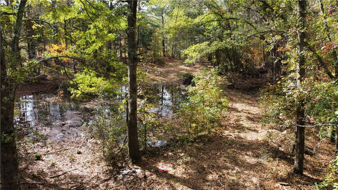 Property Photo:  1305 Wilton E Hall Road  SC 29684 