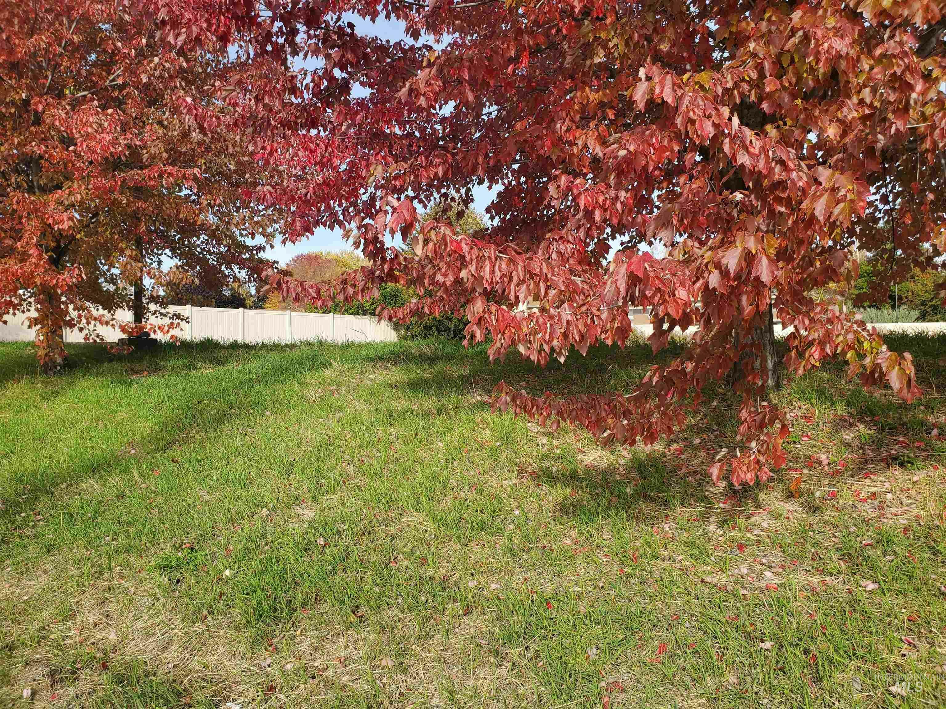 Property Photo:  502 W Palouse River Drive  ID 83843 