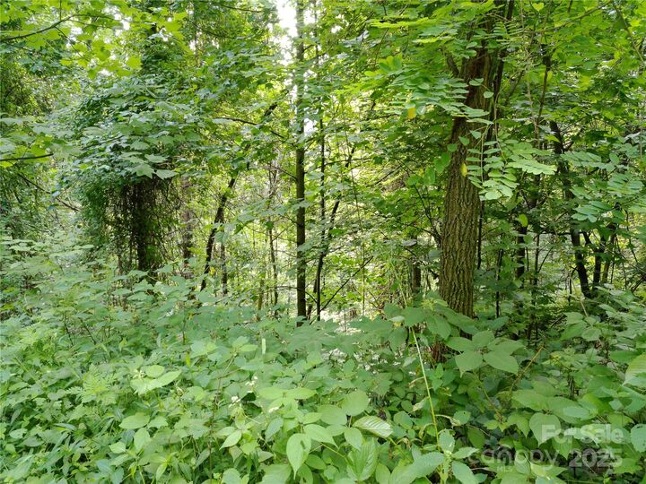 Property Photo:  00 Yonah Trail 7  NC 28785 