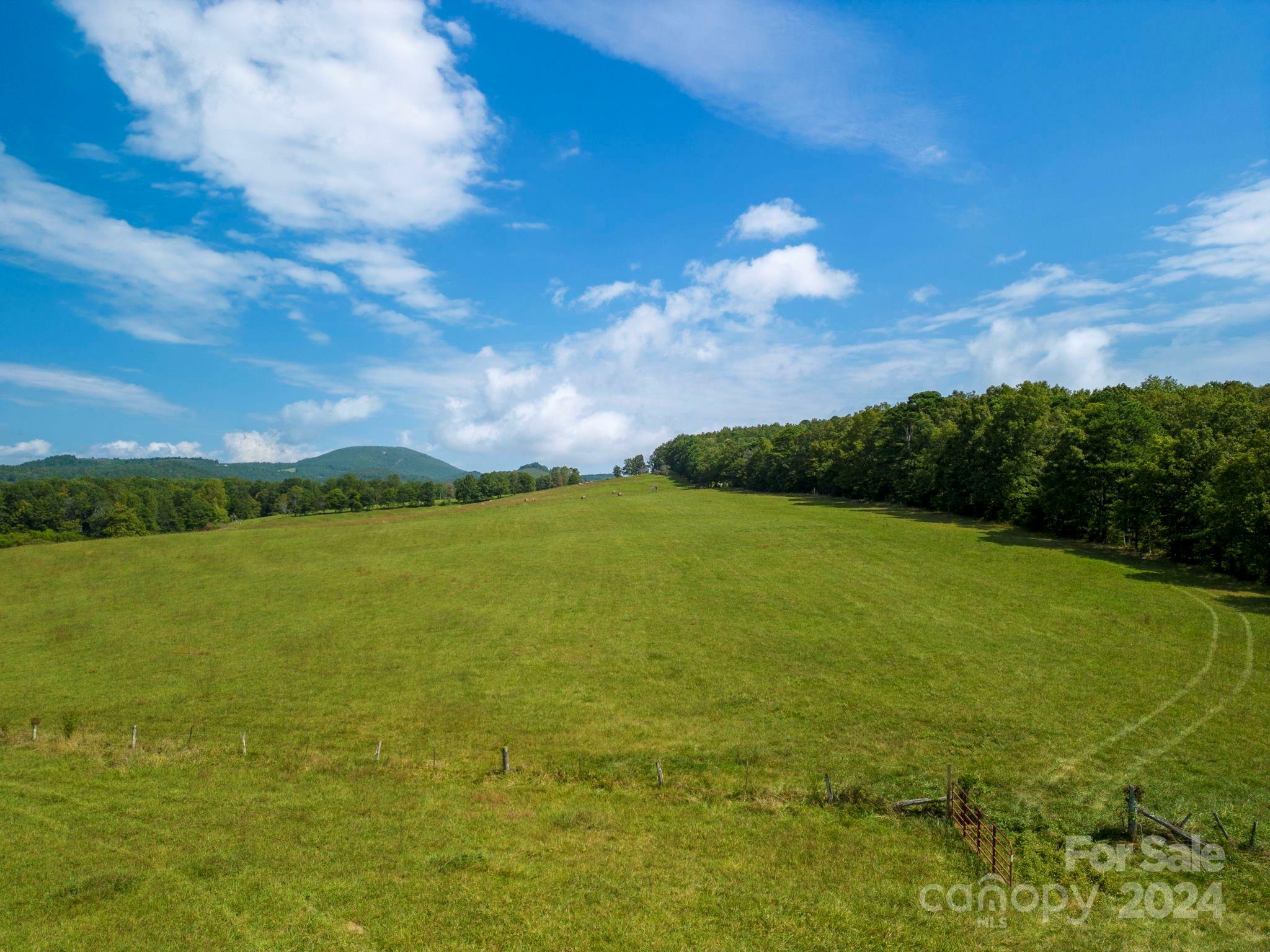 Property Photo: Tbd Summer Road NC 28792