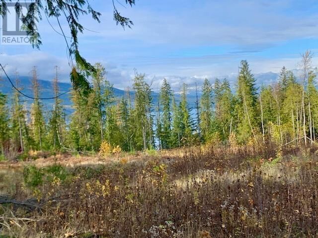 Property Photo:  Lot A 23 Highway  BC V0G 1R0 