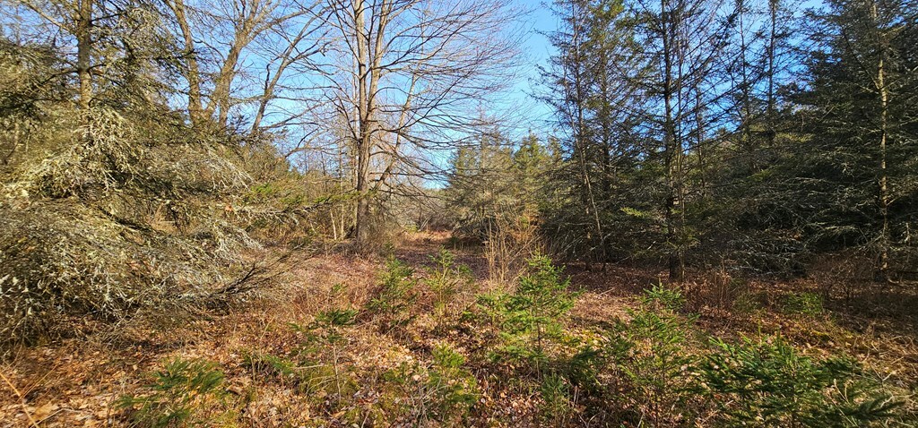 Property Photo: 6894 Hardscrabble Road NY 14801