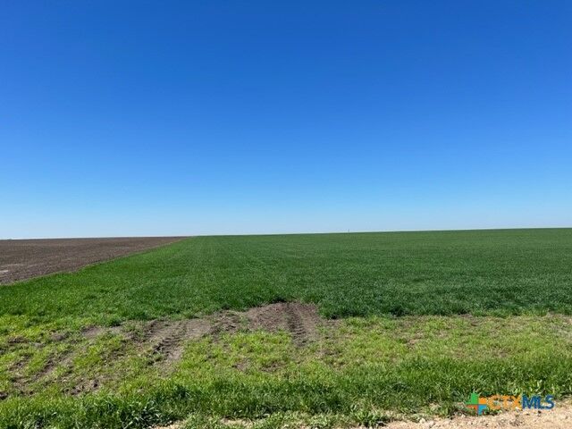 Property Photo:  Tract 3 County Rd 355  TX 76519 