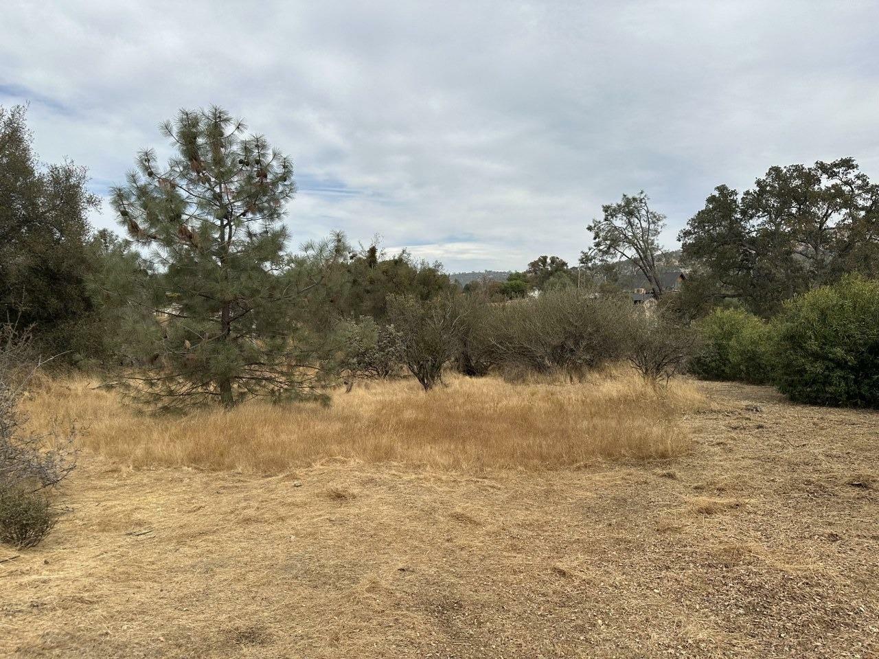 Property Photo:  0 Jim Bowie Court  CA 93614 