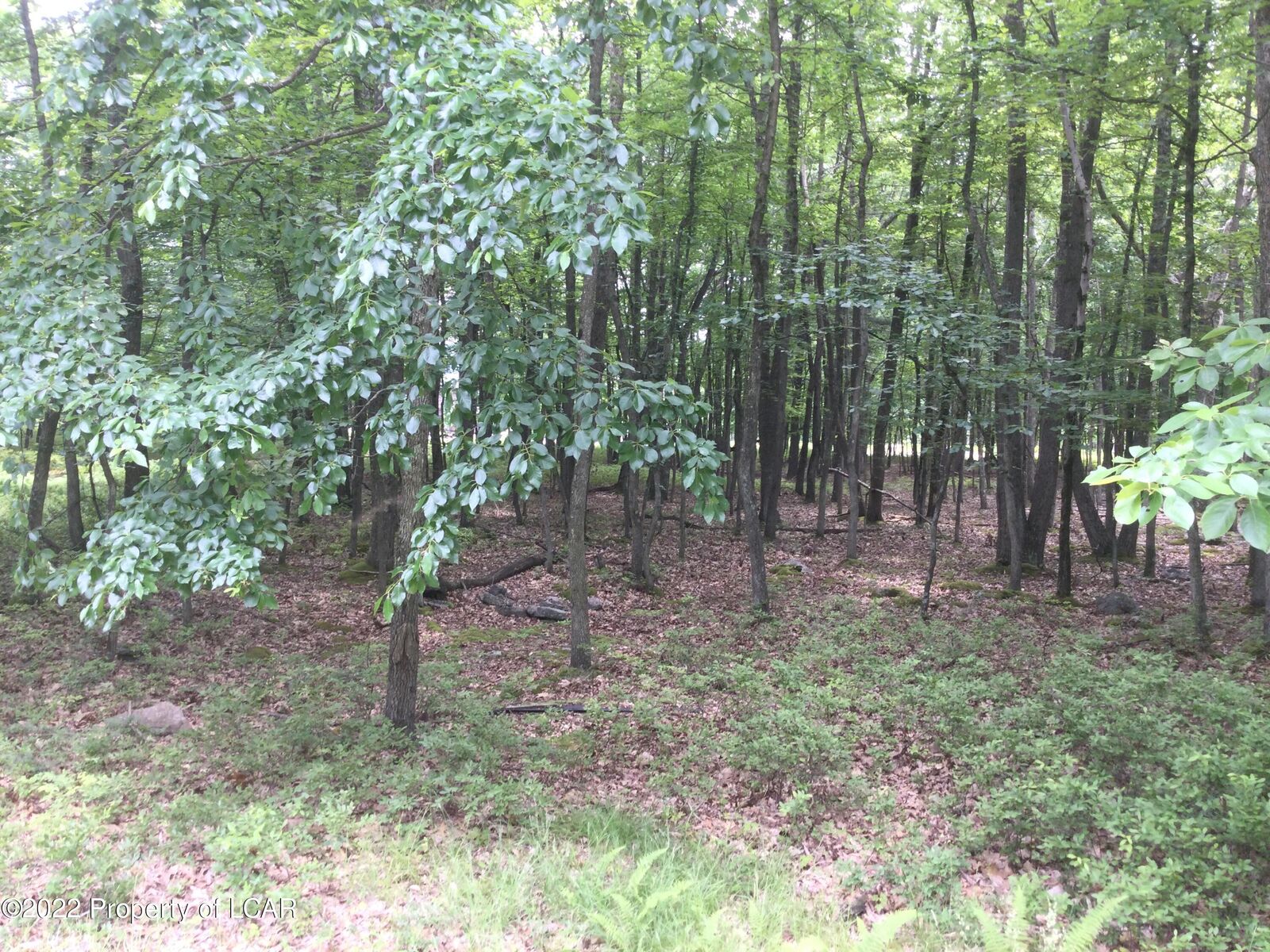 Property Photo: Jae 109 Kickapoo Drive PA 18202