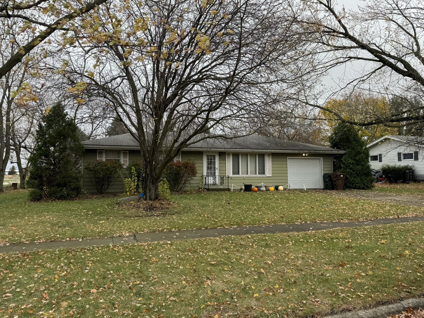 Property Photo:  478 N Bossert Street  IL 60941 