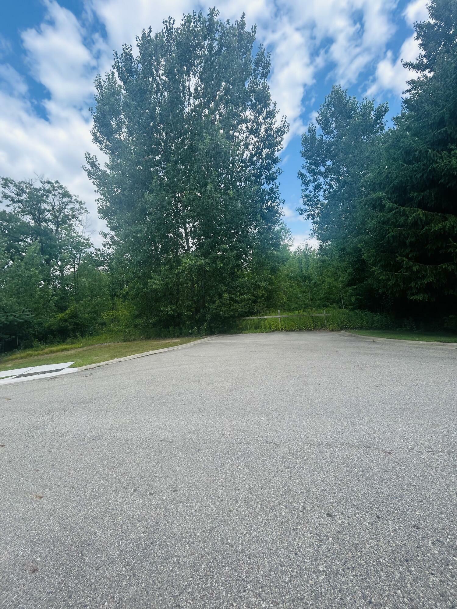 Property Photo:  00 Forest View Drive  MI 48838 