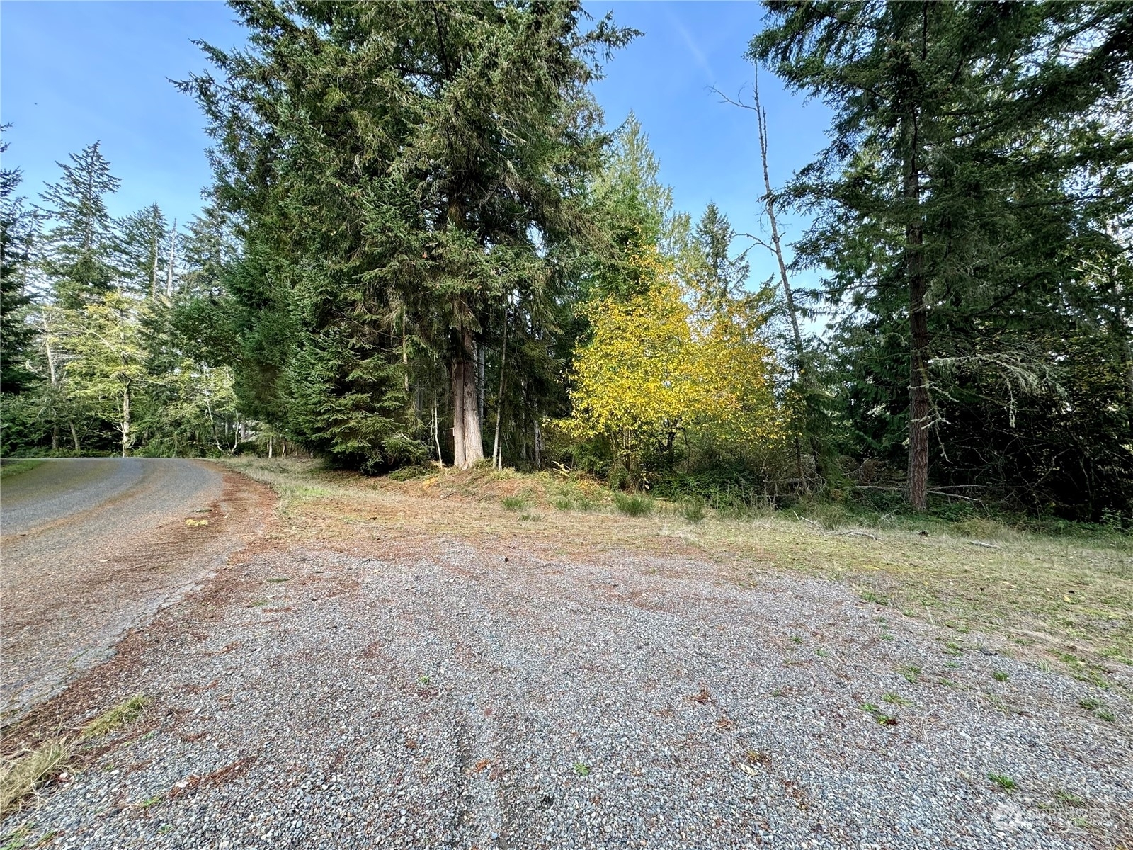 Property Photo:  10011 108th Avenue Ct  WA 98303 